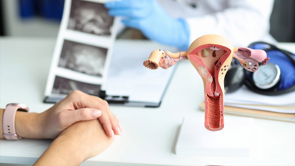 pap-smear-testi